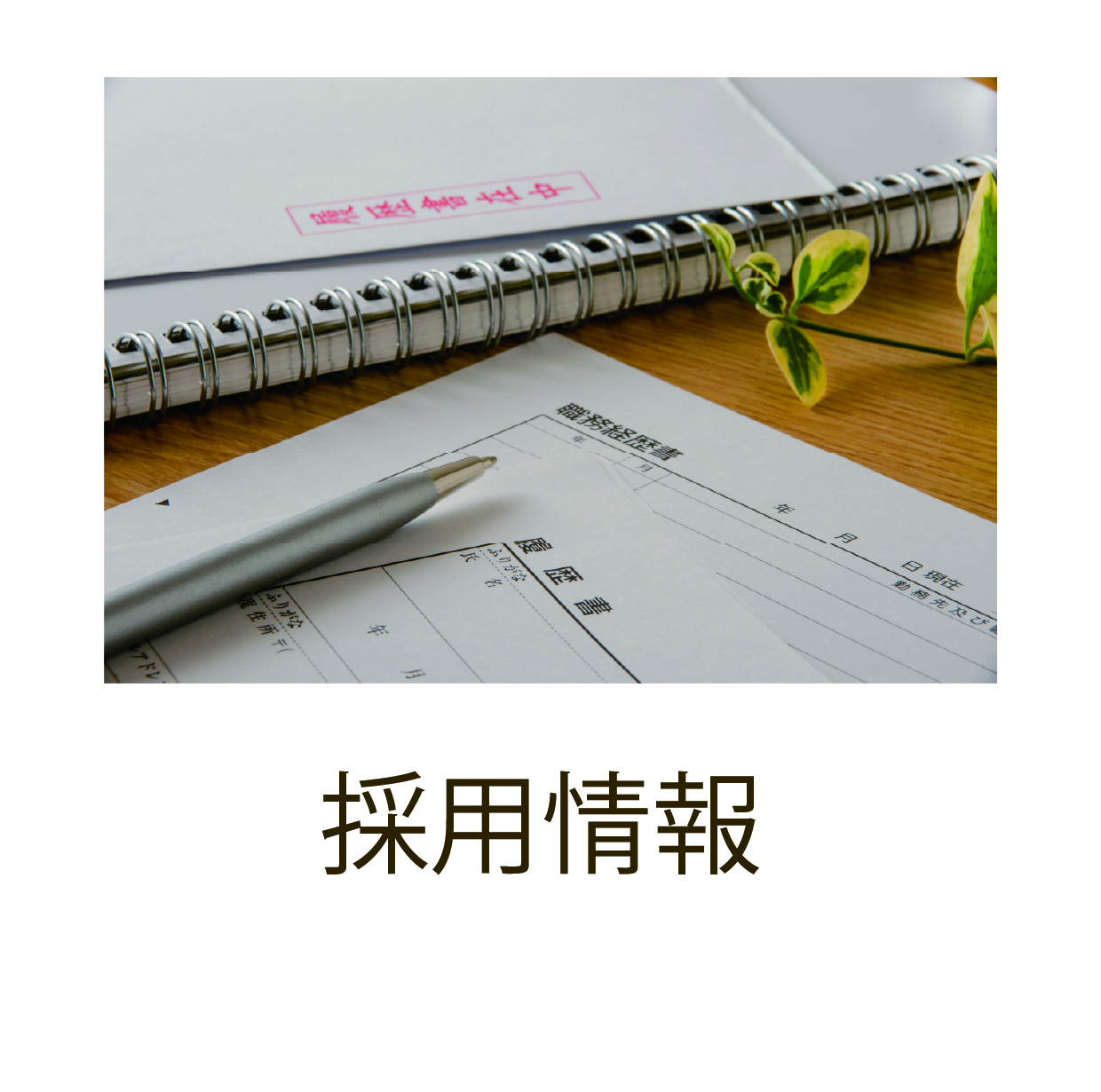 採用情報用画像