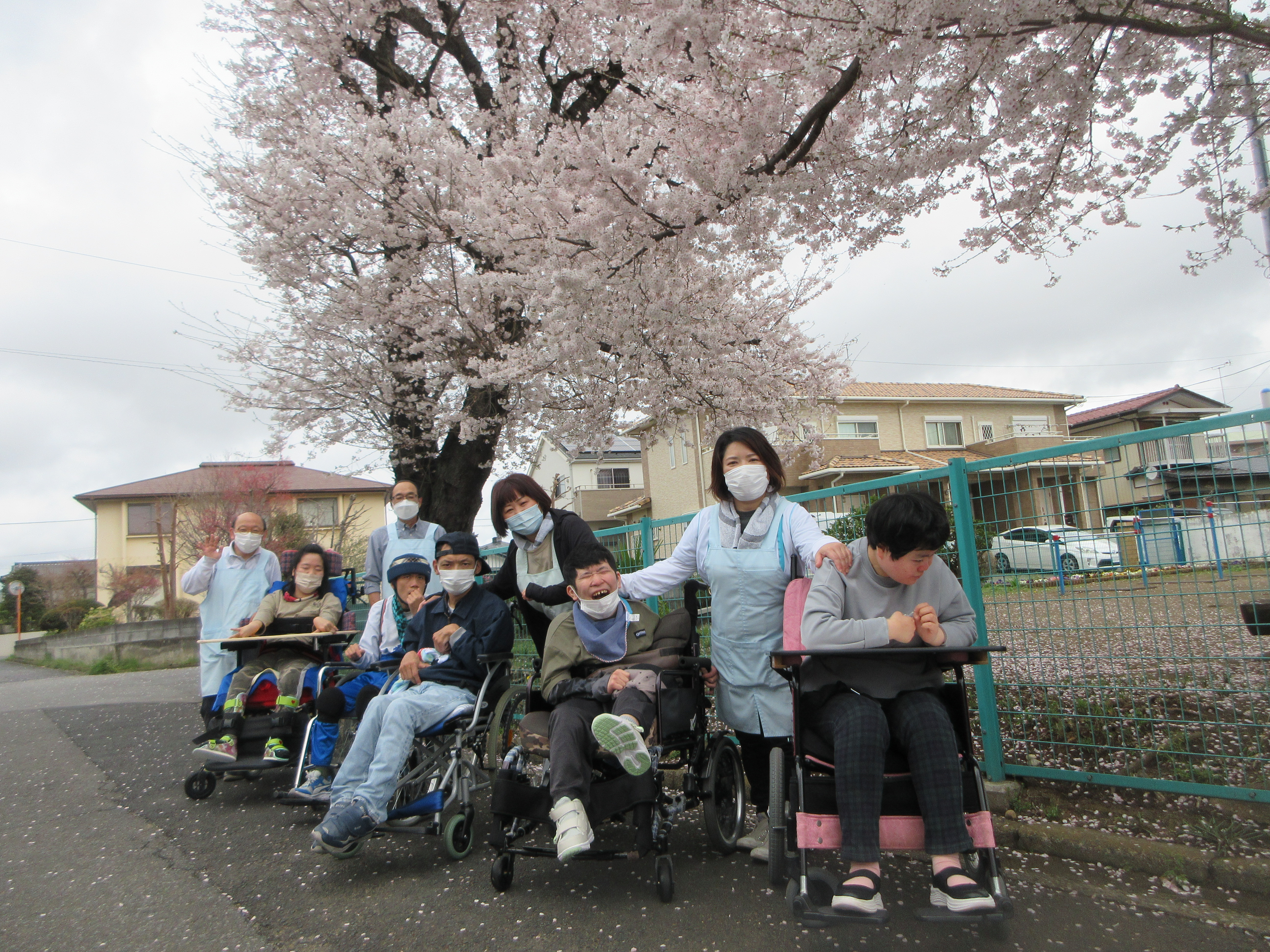 お花見の様子画像
